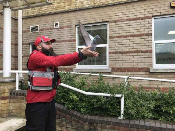 Bullivant Media