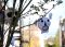 Bullivant Media
